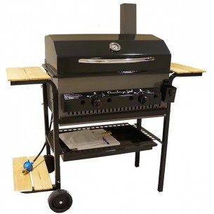 CASA ISI PARRILLA DUAL...