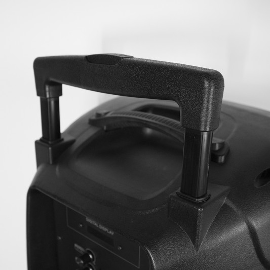 CROWN MUSTANG BAFLE MOOVE 15BT 15"... CROWN MUSTANG BAFLE MOOVE 15BT 15"...