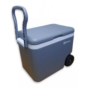 DRIVEN CONSERVADORA...