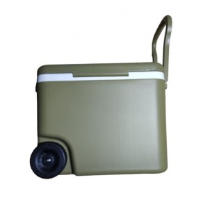 DRIVEN CONSERVADORA...