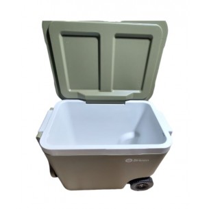 DRIVEN CONSERVADORA... 2