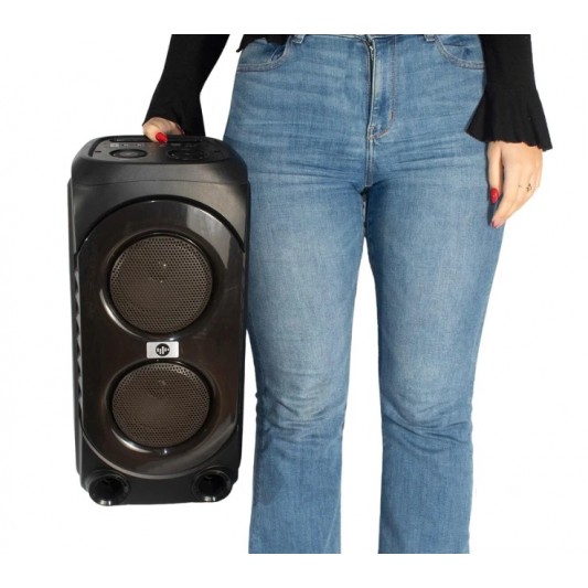 STROMBERG CARLSON PARLANTE PORTATIL...