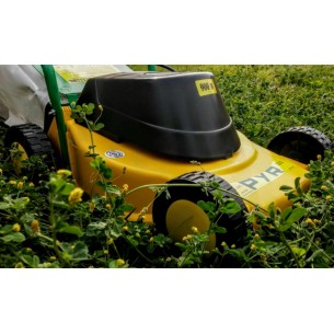 PYR CORTADORA DE CESPED... 2