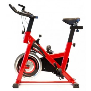 RANDERS BICICLETA FIJA...