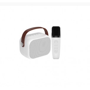 DEKKIN COMBO KARAOKE BT-030 2