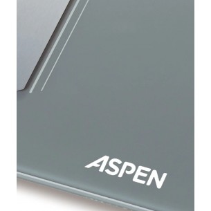 ASPEN BALANZA PERSONAL... 2