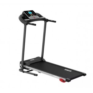 RANDERS CINTA MOTORIZADA...