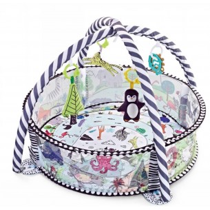 FELCRAFT GIMNASIO JJ-8630