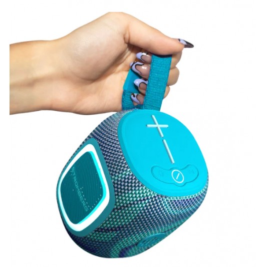 STROMBERG CARLSON PARLANTE...