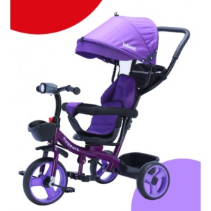BEBESIT TRICICLO PREMIUM... 2