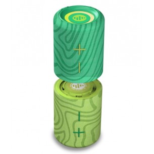 STROMBERG CARLSON PARLANTE... 2