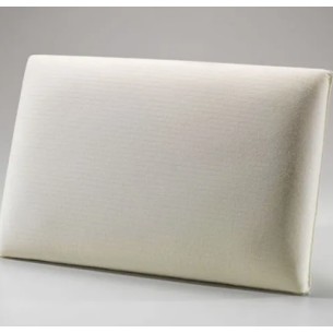 ALMOHADA ALTENBURG VISCO... 2