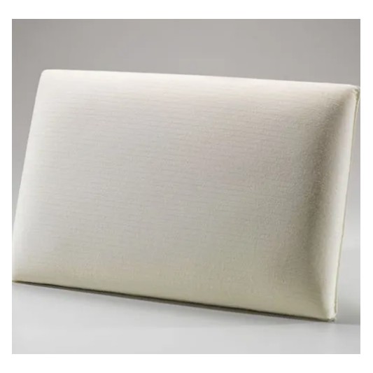 ALMOHADA ALTENBURG VISCO NASA 46X66 ALMOHADA ALTENBURG VISCO NASA 46X66