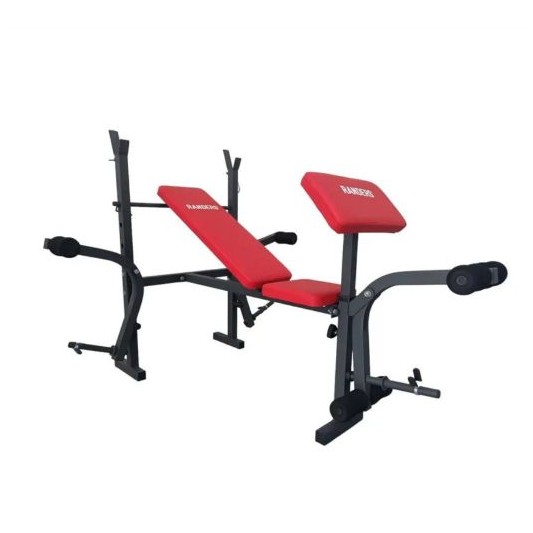 RANDERS BANCO DE PESAS ARG-140-X CON... RANDERS BANCO DE PESAS ARG-140-X CON...