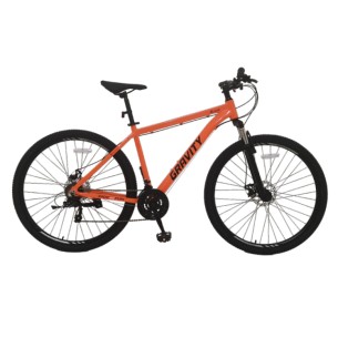 GRAVITY BICICLETA...