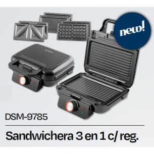 DAEWOO SANDWICHERA... 2